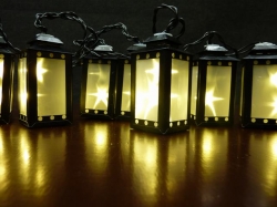 8 zwarte lantaans met starry foil kleur WARM WIT