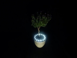 efficiëntie Varken Gek Plant LED verlichting op BATTERIJ WIT | Led, Kleur, Verlichting | DIVERSE  VERLICHTING | Bloempot verlichting