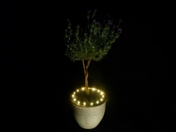Plant LED verlichting op BATTERIJ WARM WIT
